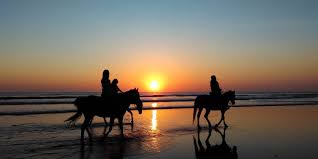 Paseos a Caballo